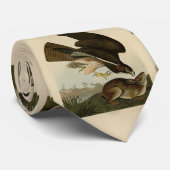 Cravate Common Buzzard - d'Audubon's Birds of America (Roulé)