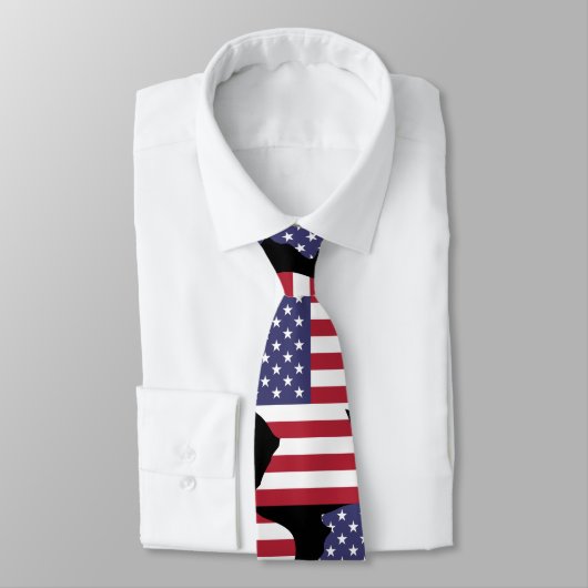 Cravate Conception de drapeau des Etats-Unis d'atout de (Attaché)