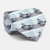 Cravate Concorde supersonique (Roulé)