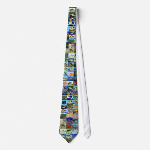 CRAVATE CONCOURS TIE2 D'ART DE STATE-FISH