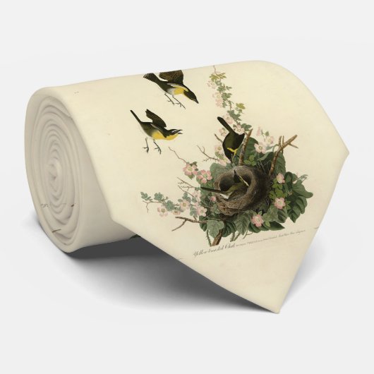 Cravate Conversation à poitrine jaune - Audubon's Birds of (Roulé)