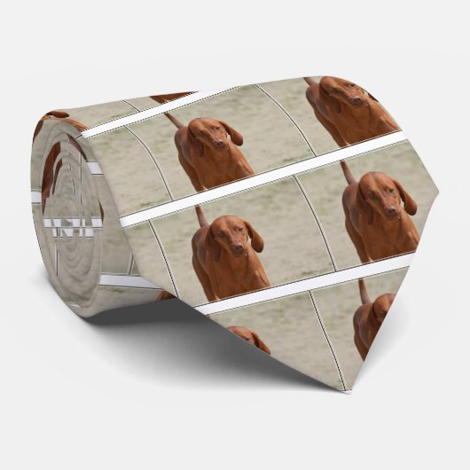 Cravate Coonhound (Roulé)