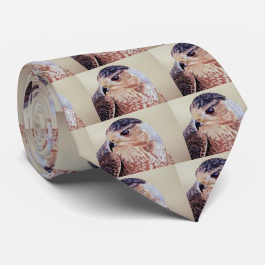 Cravate Coopers Hawk (Roulé)