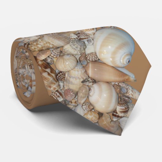 Cravate coquilles de plage (Roulé)