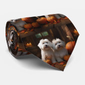 Cravate Coton De Tulear Chiot Automne Citrouille délice (Roulé)