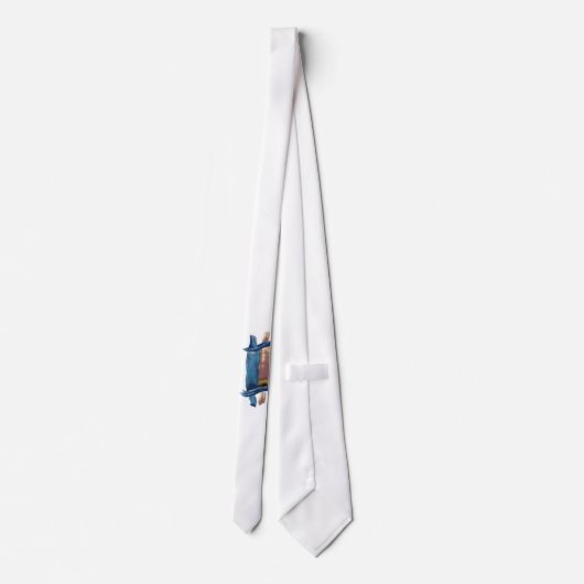 Cravate Couleur d'eau Torah (Dos)