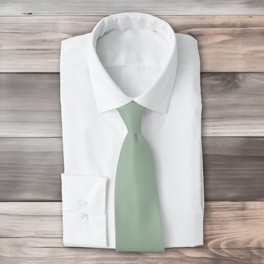 Cravate Couleur solide Sage Mist vert clair