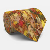 Cravate Couleurs de chute (Roulé)