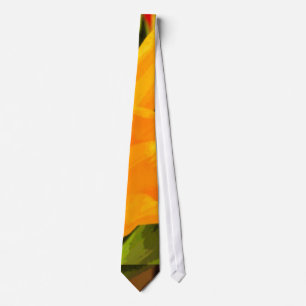 Cravate Couleurs mixtes