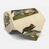 Cravate Courlis d'Esquimaux provenant des oiseaux d'Amériq (Roulé)
