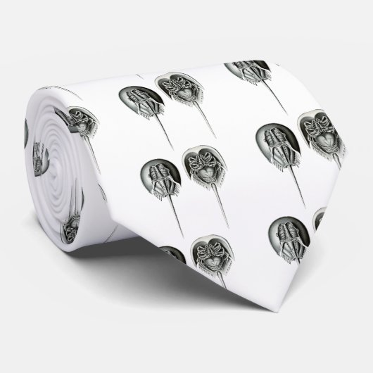 Cravate Crabe en fer à cheval côtier (Roulé)