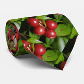 Cravate Cranberry (Roulé)