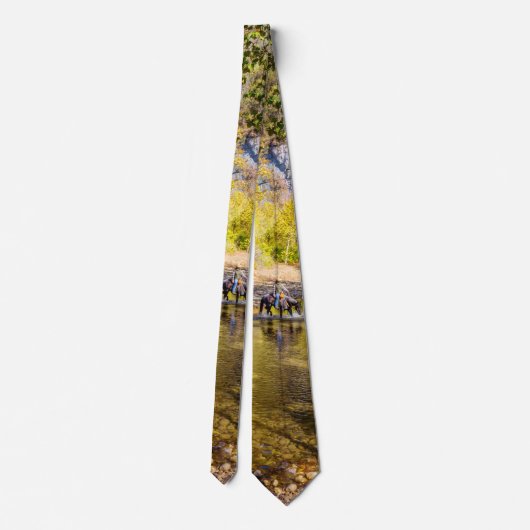 Cravate Crossing The Buffalo River Neck Tie (Dos)