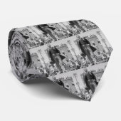 Cravate Cru 1905 de carte de Teddy Roosevelt Stereoview (Roulé)