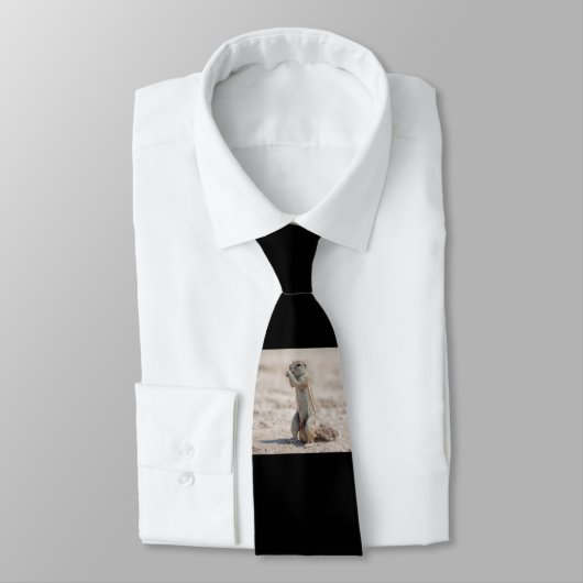 Cravate Cuisine sqirrel (Attaché)