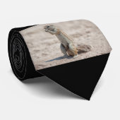 Cravate Cuisine sqirrel (Roulé)