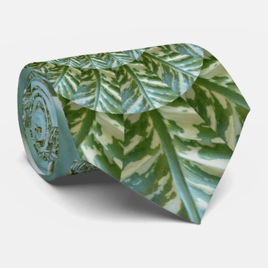 Cravate Customize Product (Roulé)