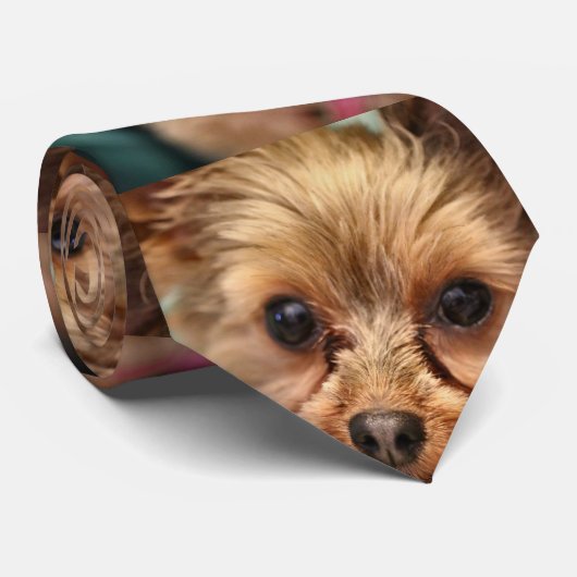 Cravate Cute (Roulé)