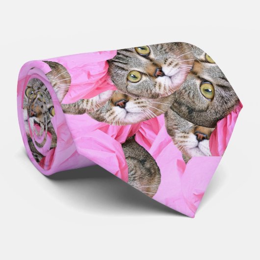 Cravate Cute Chat dans un Motif Casquette rose Random (Roulé)