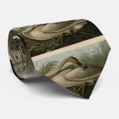 Cravate Cygne trompette - Audubon's Birds of America (Roulé)