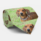 Cravate Dachshund (Roulé)