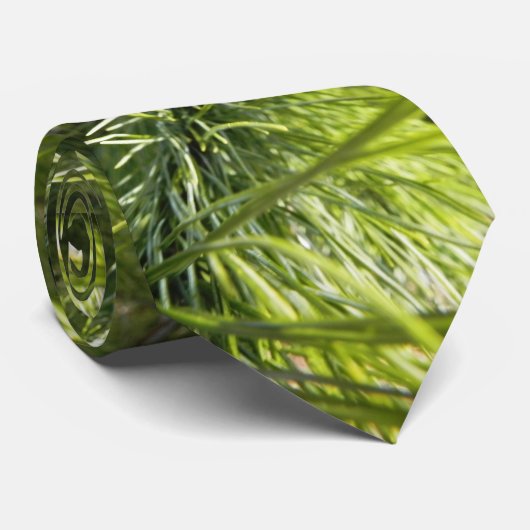 Cravate d'aiguille de pin (Roulé)