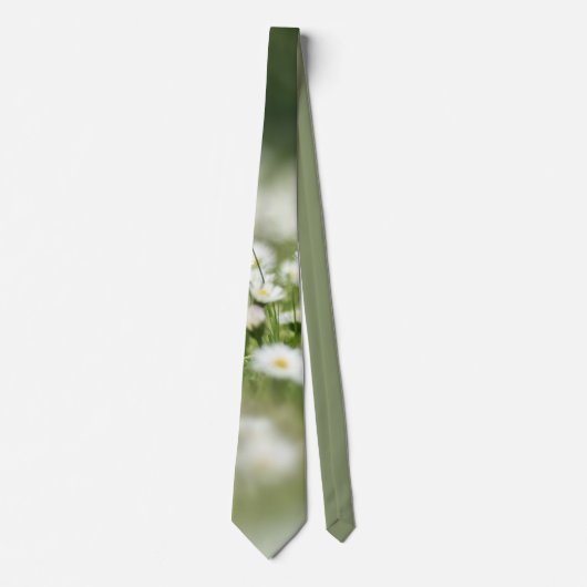 Cravate Daisy Meadow (Devant)