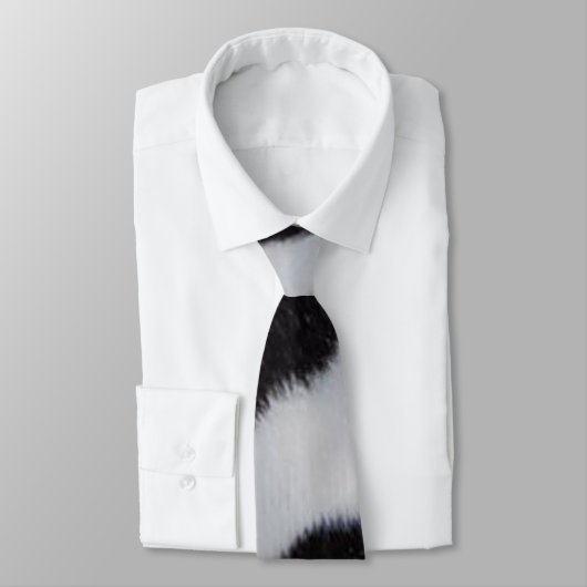 Cravate Dalmatien (Attaché)