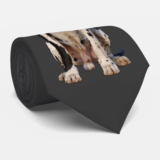 Cravate Dalmatien (Roulé)