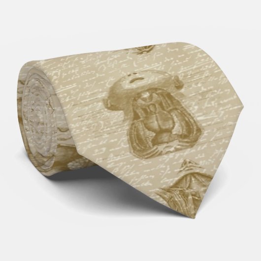 cravate d'anatomie (Roulé)