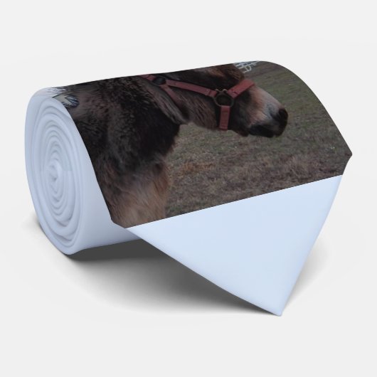 Cravate d'âne (Roulé)