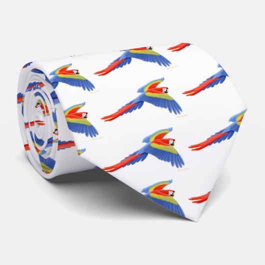 Cravate d'ara d'écarlate (Roulé)