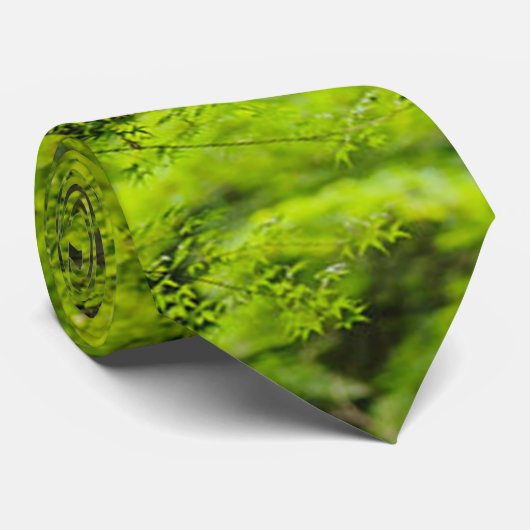 Cravate d'arbre vert (Roulé)