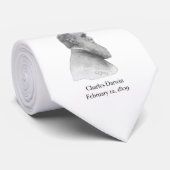 Cravate Darwin (Roulé)