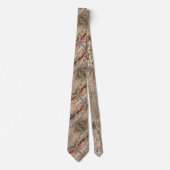 Cravate Date Palm Tree Trunk Texture Fermer Photo Image (Devant)