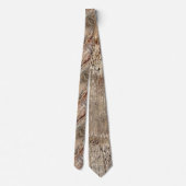 Cravate Date Palm Tree Trunk Texture Fermer Photo Image (Dos)