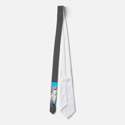 Cravate Dauphin20160501 (Dos)