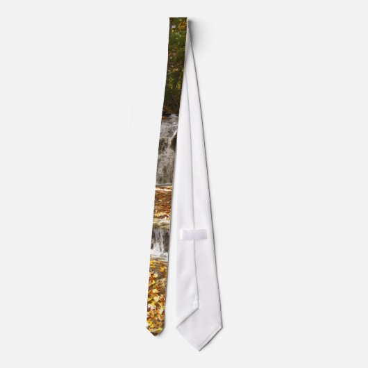 Cravate d'automne (Dos)