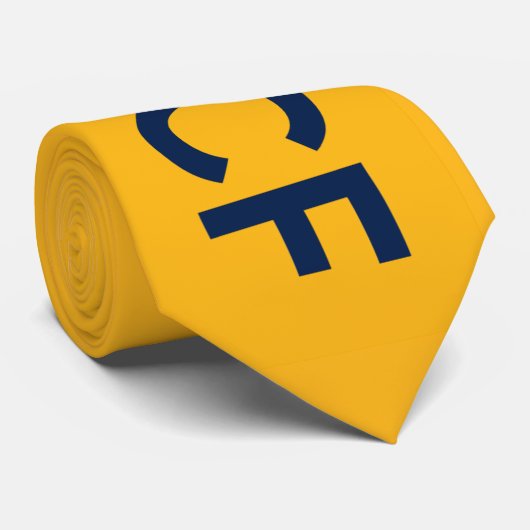 CRAVATE DCF de l'ÉQUIPE - retour Turquoise (Roulé)