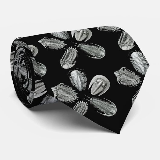 Cravate de 5 Trilobites (Roulé)