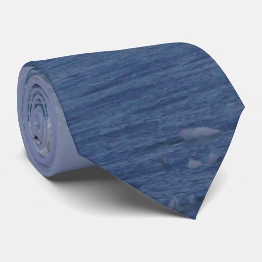 Cravate de beauté congelé (Roulé)