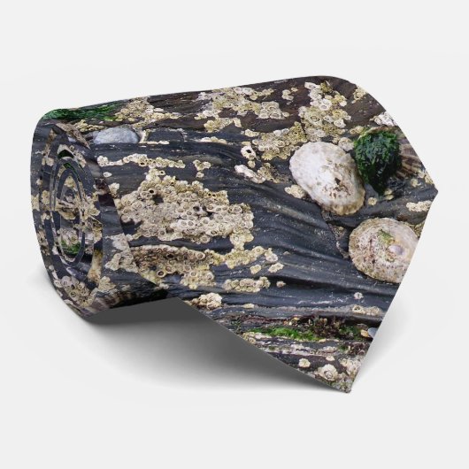 Cravate de bernache (Roulé)