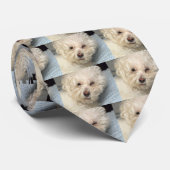 Cravate de Bichon Frise (Roulé)