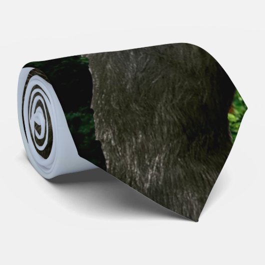 Cravate de Bigfoot (Roulé)