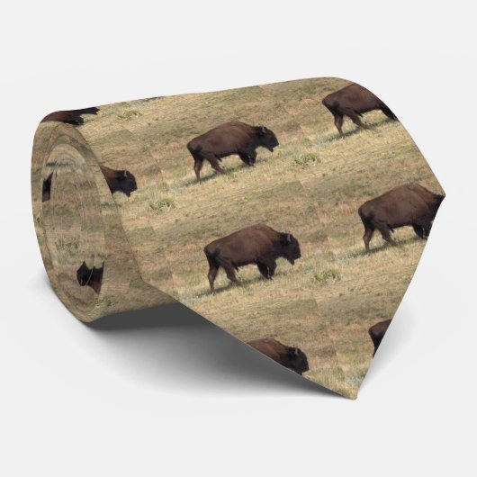Cravate de bison (Roulé)