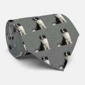 Cravate de border collie (Roulé)