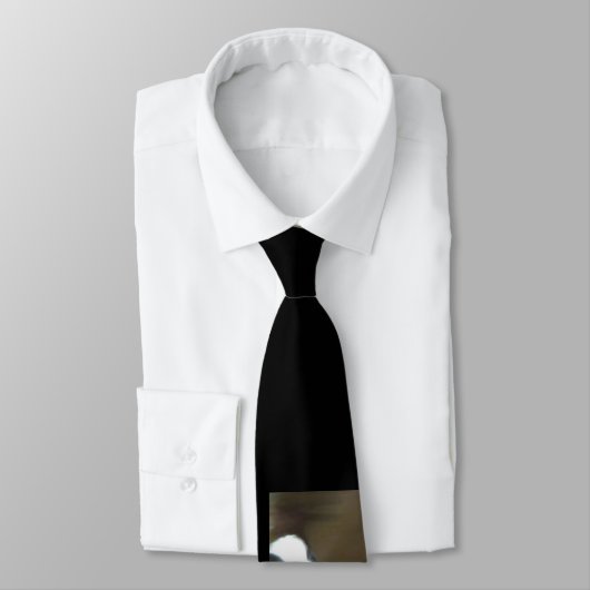 Cravate de Boston Terrier (Attaché)