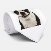 Cravate de Boston Terrier Père Noël (Roulé)