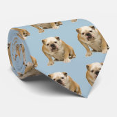 Cravate de bouledogue avec l'arrière - plan bleu ! (Roulé)