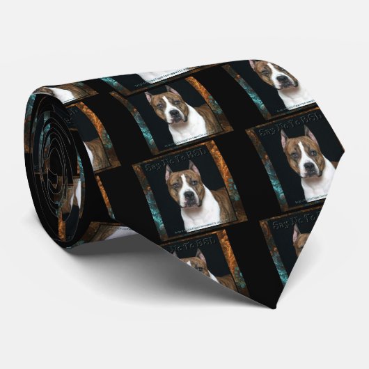 Cravate de BSL (Roulé)